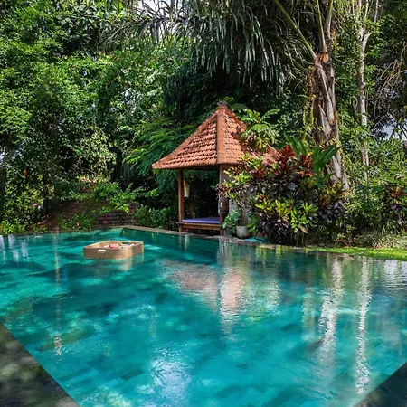 Sari Bamboo Villas